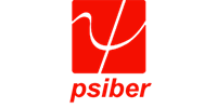 Psiber Data System